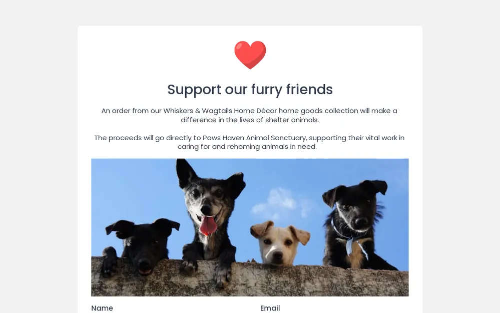 Fundraising Form Template template preview