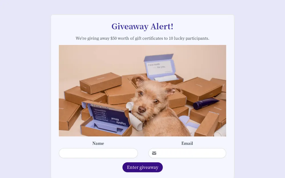 Giveaway Entry Form Template template preview