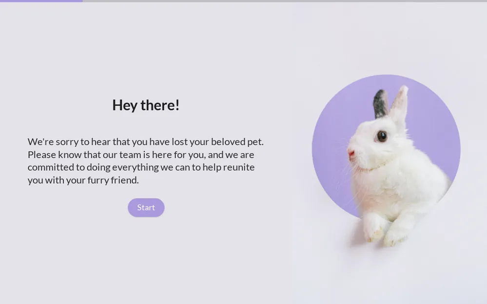 Lost Pet Report Form Template template preview