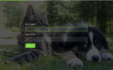 Pet Details form page preview