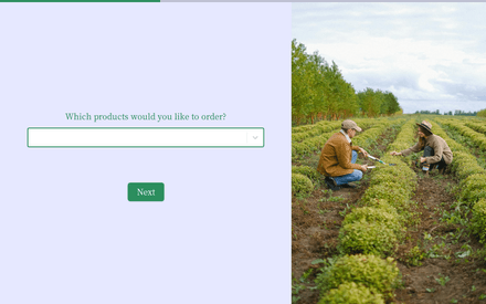 Order form page preview