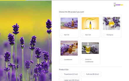 Order 4 form page preview