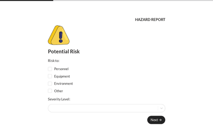 Risk form page preview