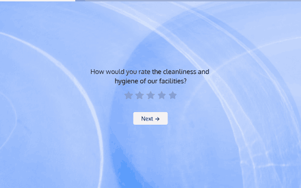 Cleanliness form page preview